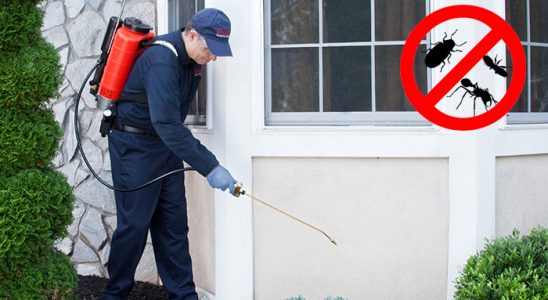 Bahçelerarası Dezenfeksiyon böcek ilaçlama ve haşere kontrolü — ilaclama-tr.com